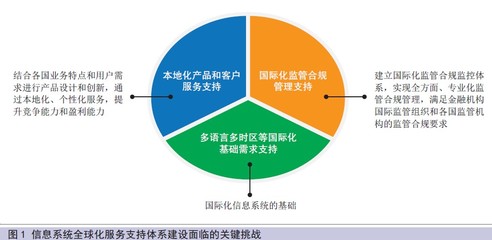 中国金融业的数字化支柱 计算机系统服务的发展与挑战